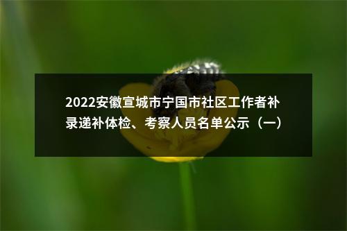 2022安徽宣城市宁国市社区工作者补录递补体检、考察人员名单公示（一） 图片