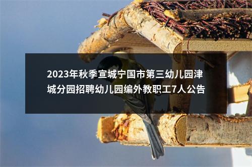 2023年秋季宣城宁国市第三幼儿园津城分园招聘幼儿园编外教职工7人公告 图片