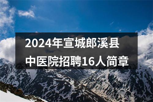 2024年宣城郎溪县中医院招聘16人简章 图片
