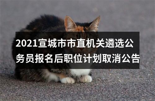 2021宣城市市直机关遴选公务员报名后职位计划取消公告 图片