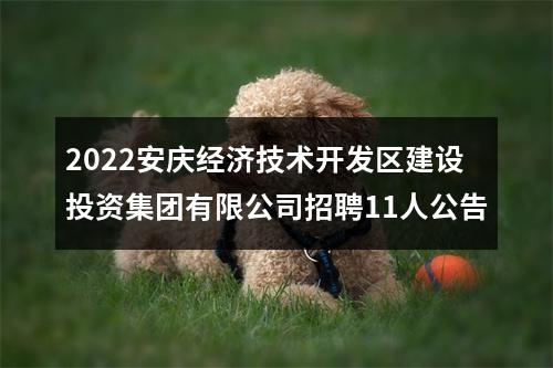2022安庆经济技术开发区建设投资集团有限公司招聘11人公告 图片